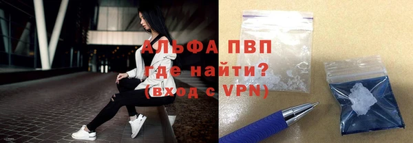 прущие грибы Абаза