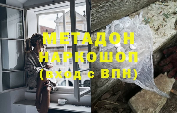 прущие грибы Абаза