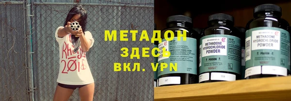 прущие грибы Абаза